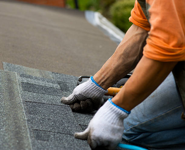 Best Gutter Installation and Roofing  in Fenton, MO