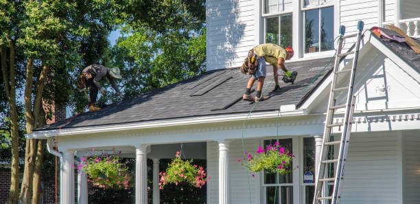 Best Roof Gutter Cleaning  in Fenton, MO